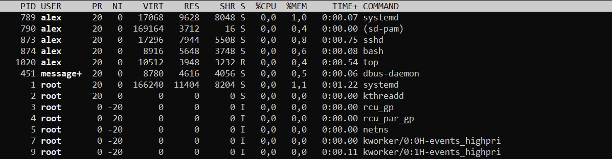 вывод команды top